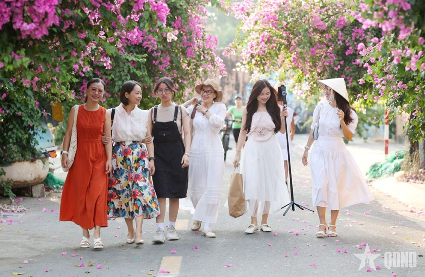 Con đường hoa giấy rực hồng giữa lòng phố biển